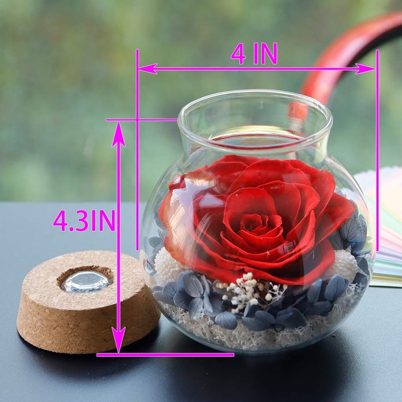 roliys Preserved Real Roses with Colorful Mood Light Wishing Bottle, Eternal Roseï¼ŒNever Withered Flowers, Table Decor,Christmas Anniversary Valentine's, Red 4.3inch, 1pcs - Image 2